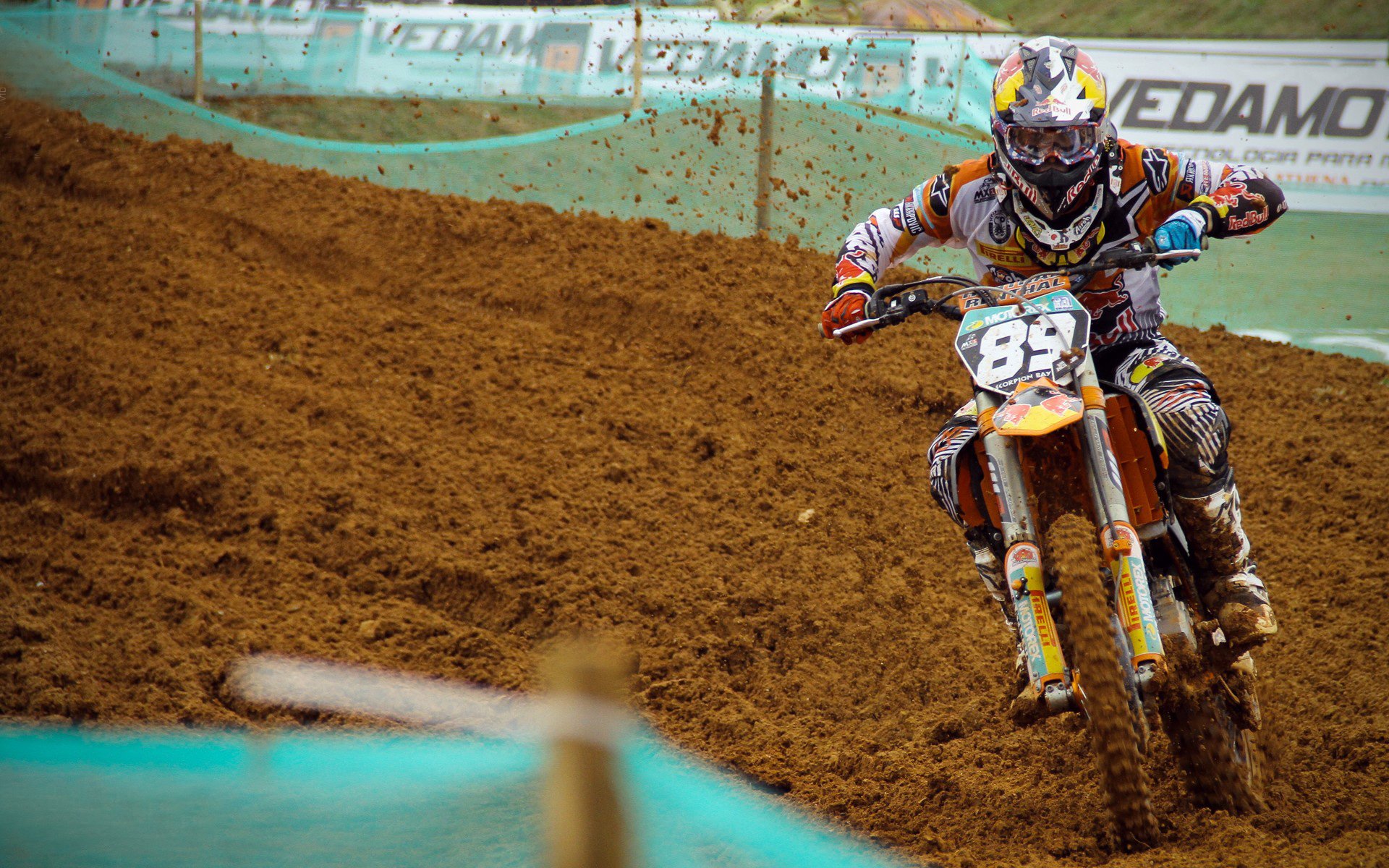 仰泳赛场韩国选手步伐稳健，仰泳比赛视频