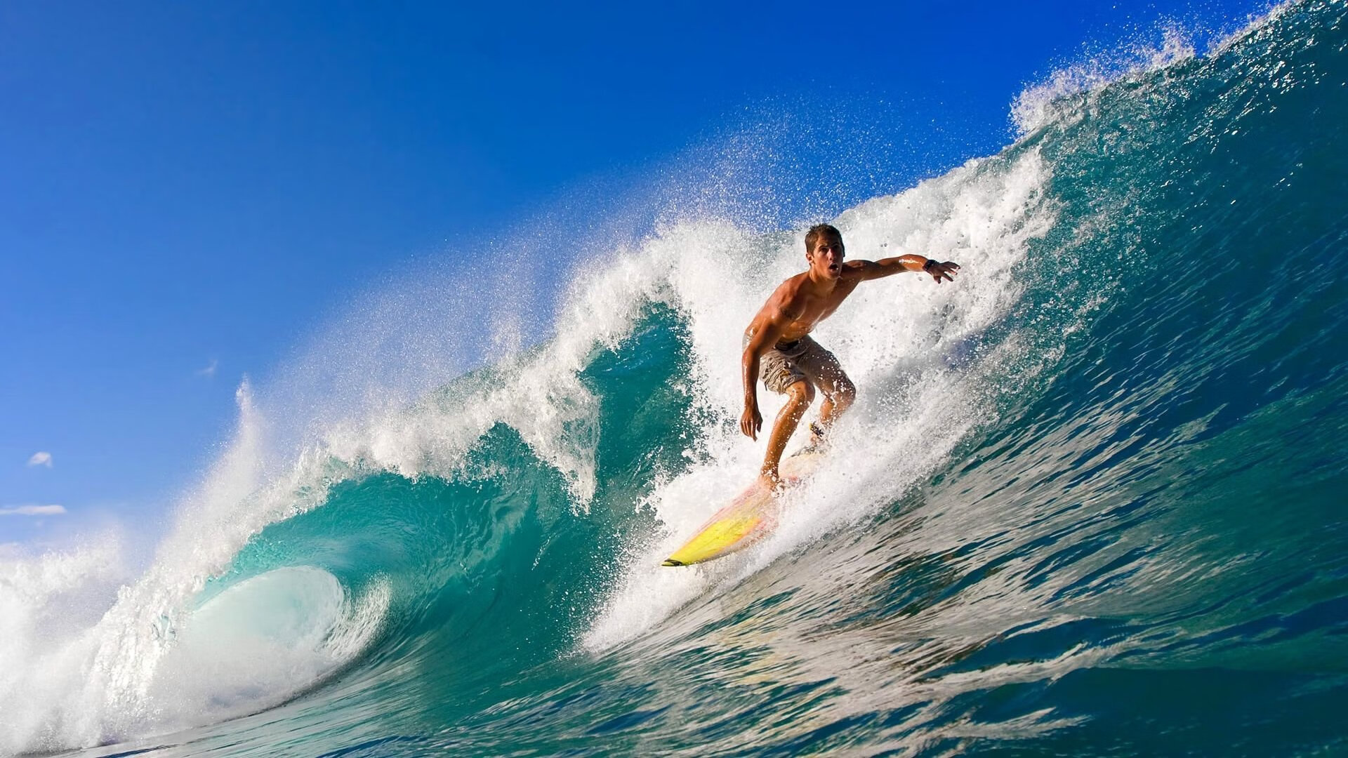 巴尔：他在全黑队中场的稳定发挥让球队的进攻和防守形成完美平衡