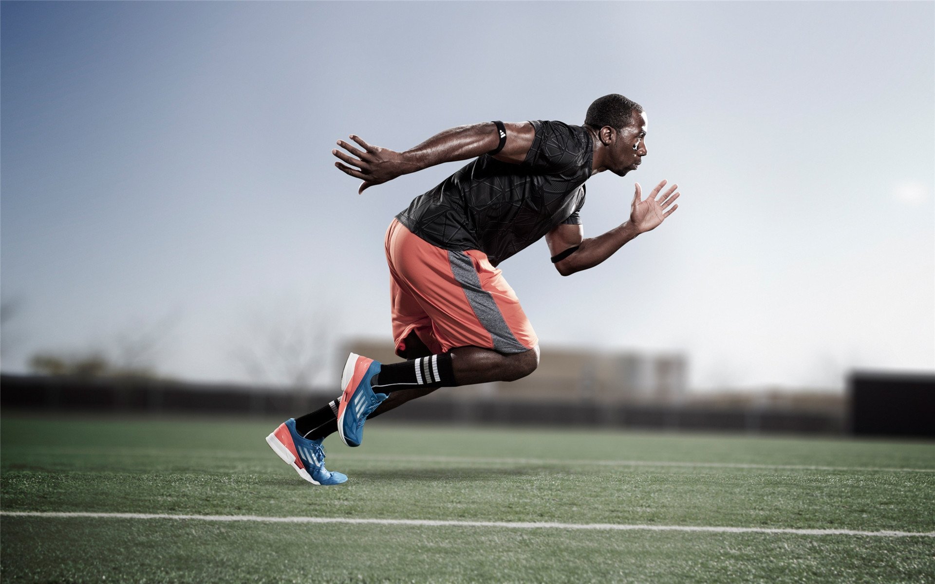 联盟引入统计公司，数据解读更加专业，什么是联盟单位